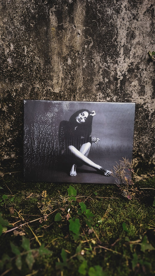 Tacita Leinwand-Fotodruck 2